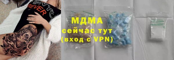 шишки Бородино