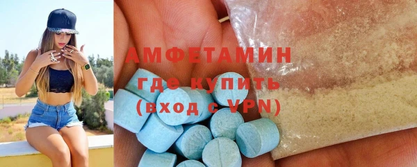 шишки Бородино