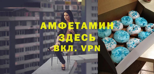 шишки Бородино